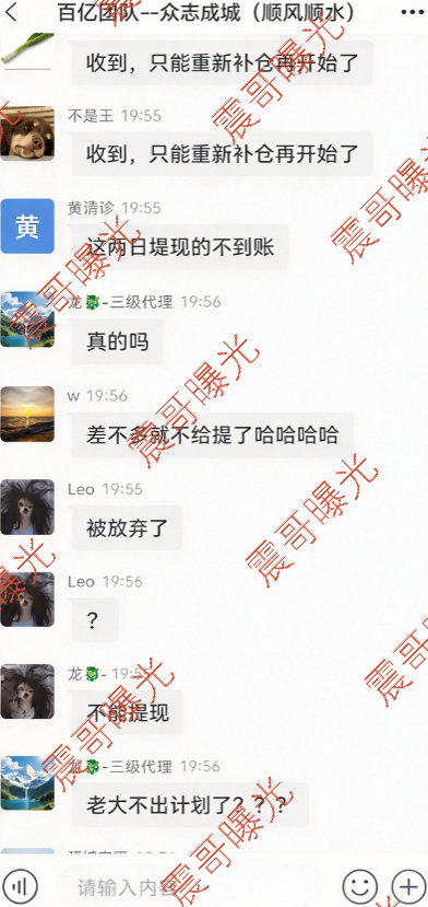 原文相关图片2