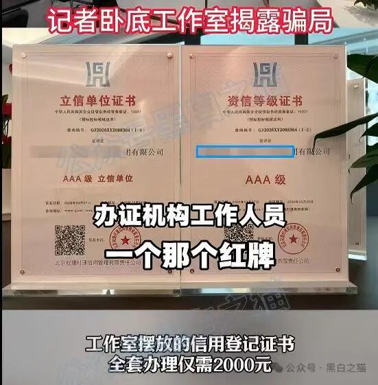 原文相关图片3