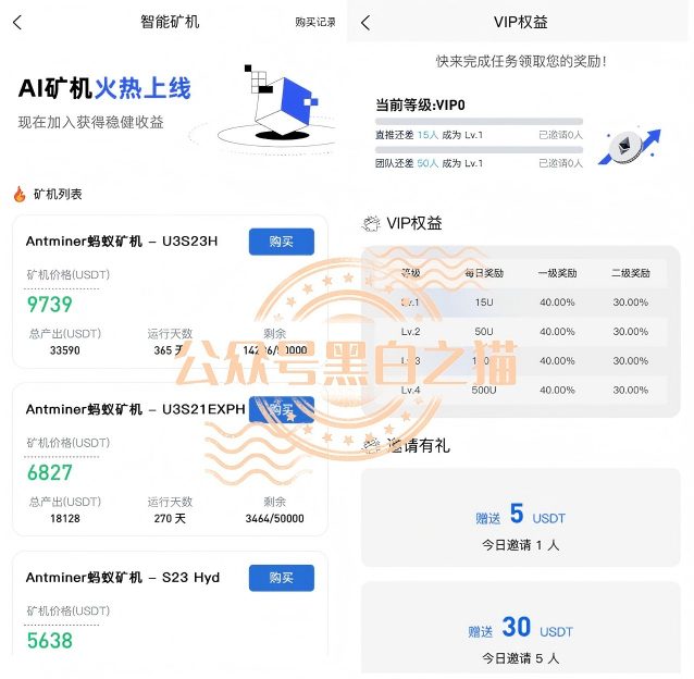 原文相关图片8